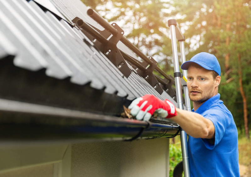 Gutter Cleaning