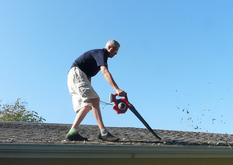 Gutter Cleaning